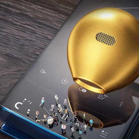 WEKOME YC05 Sakin Series - Casque d'écoute filaire avec jack 3,5 mm (Gold)